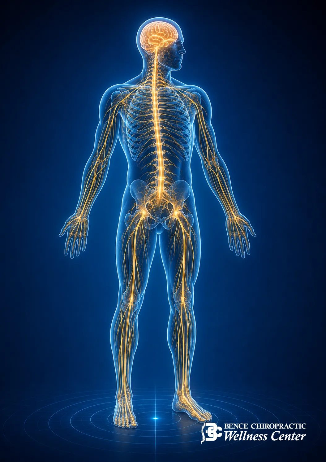 Dr. Bence performing a chiropractic adjustment